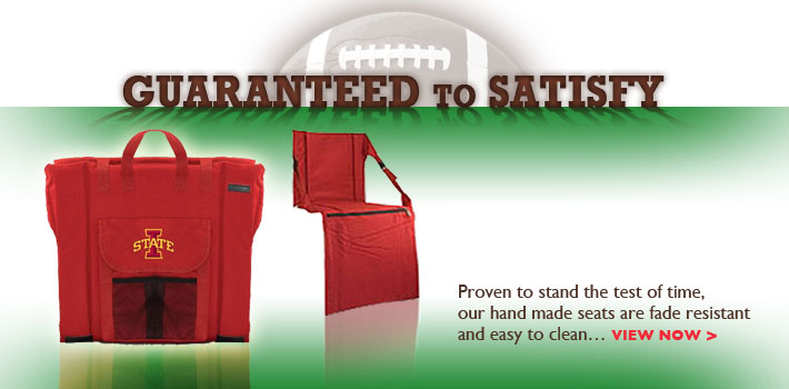 Football Seat Cushion