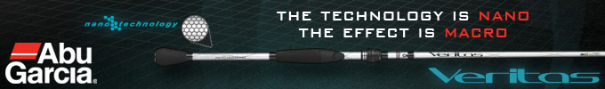 Abu Garcia Veritas