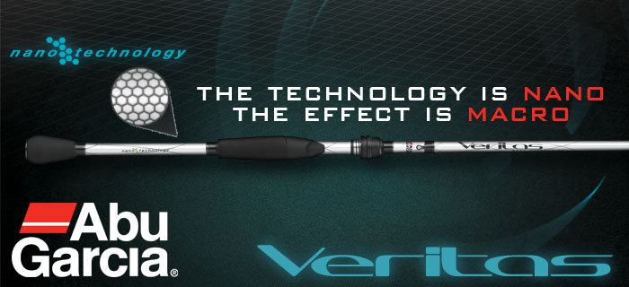 Abu Garcia Vertias
