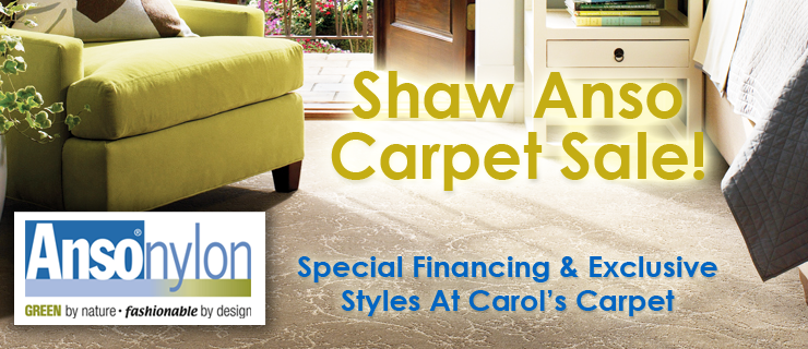 Shaw Anso Carpet