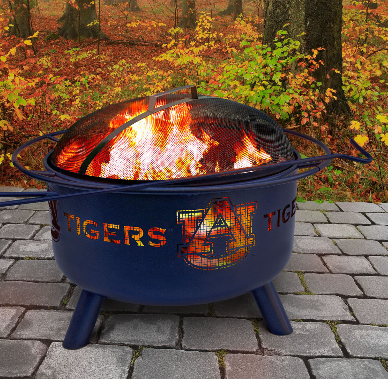 Collegiate Fire Pits