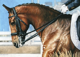equestrian note cards, horse shows, alabama horse shows, dressage horse shows