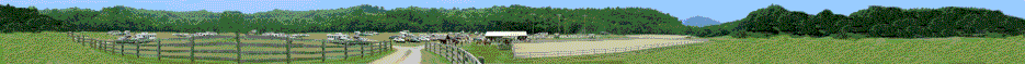Alabama Horse Shows Alabama Horse Shows