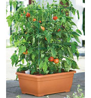 planters, outdoor planters