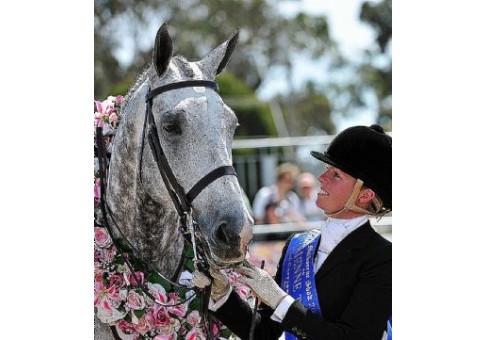 equestrian equipment