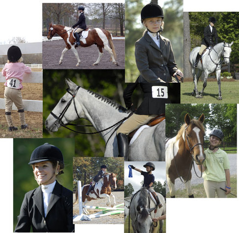 Montgomery Horseback Riding Lessons