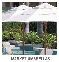 Market Umbrellas