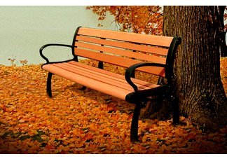 EternalWood Bench