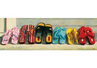 Flip Flops