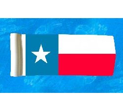 Texas Pool Float