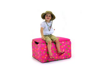 Dinosaur Train - Tiny Pink Storage Box