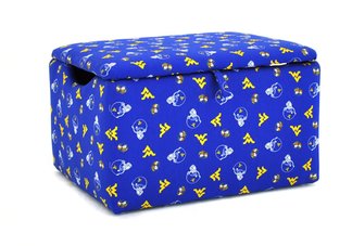 West Virginia Toy and Storage Box