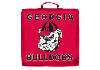 Georgia Stadium Cushion