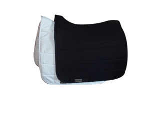 equestrian equipment