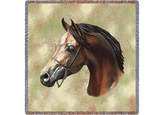 Arabian Horse Lap Square