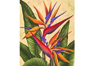 Tropical Bird of Paradise