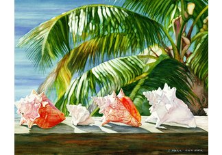 Parade of Conchs