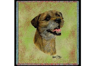 Border Terrier II Square Throw Blanket