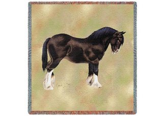 Shire Lap Square