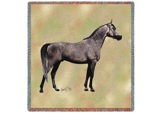 Endurance Arabian Lap Square