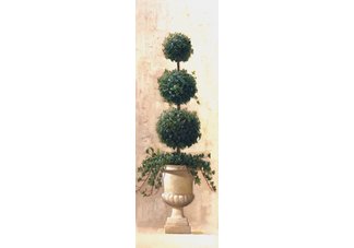 Roman Topiary II by Welby