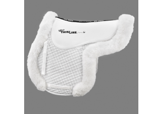 equestrian equipment