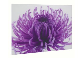 Flower Print