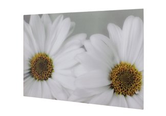 Daisy Print
