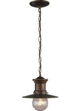 1 Light Outdoor Pendant In Hazlenut Bronze And Clear Seeded Glass