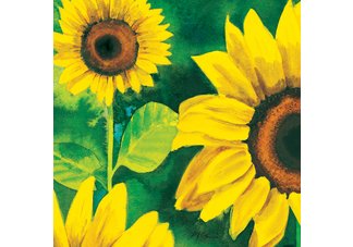 Girasoli in Fiore