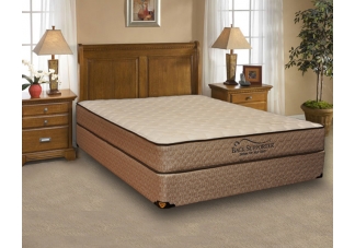 Carina Back Supporter Firm Mattress
