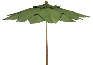 Palm Umbrella