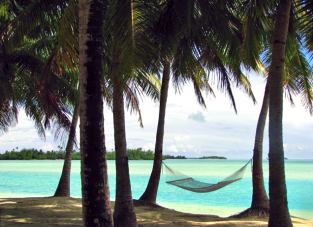Rope Hammock