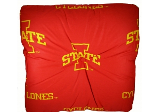 Iowa State Floor Pillow