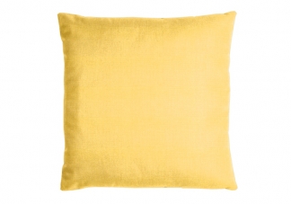 Custom Outdoor Throw Pillow