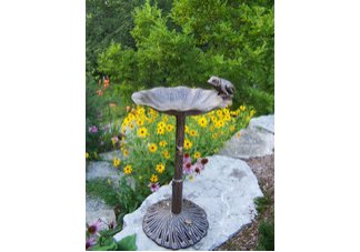 Cast Aluminum Frog Bird Bath