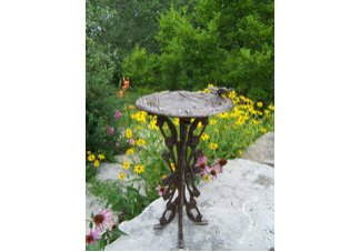 Butterfly Dragonfly Bird Bath