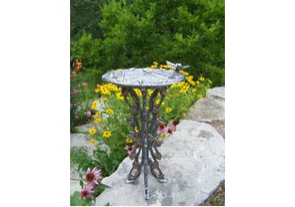 Butterfly Dragonfly Bird Bath