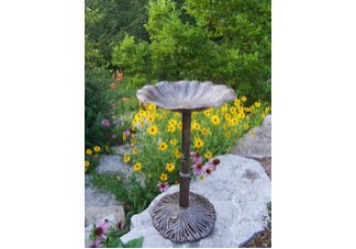 Cast Aluminum Lily Bird Bath