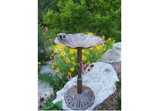Lily Bird Bath with Frog