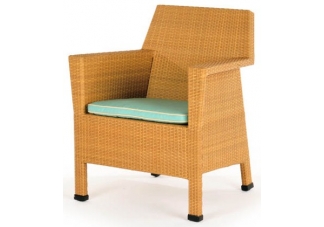 Mayan Dining Arm Chair