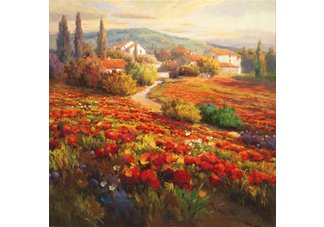 Poppies