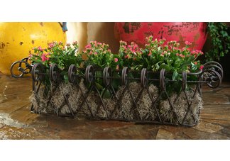 Window Box