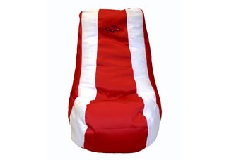 Arkansas Razorbacks Video Bag
