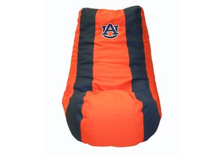 Auburn Tigers Video Bag