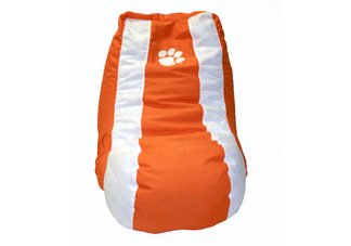 Clemson Tigers Video Bag