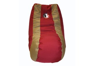 Florida State Seminoles Video Bag