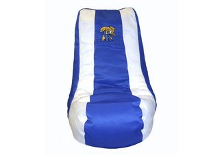 Kentucky Wildcats Video Bag
