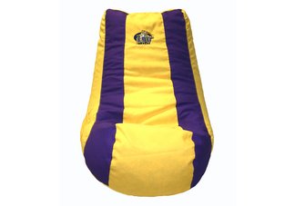 LSU Tigers Video Bag
