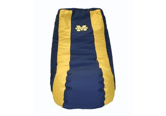 Michigan Wolverines Video Bag